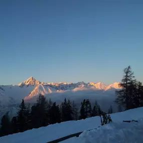 Restaurant Panorama