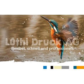 Bild von Lüthi Druck AG