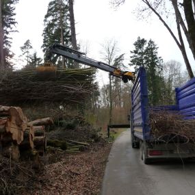 Markus Näf Baumpflege & Transporte