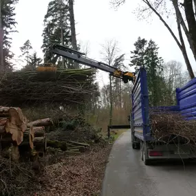 Markus Näf Baumpflege & Transporte