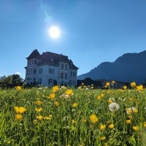 Bild von Adventure Hostel Interlaken