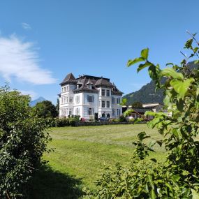 Lush green outside views at the adventure hostel Interlaken