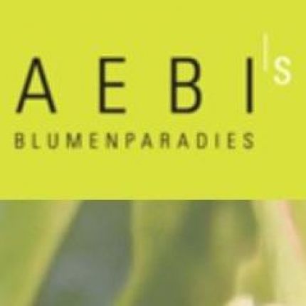 Logo von AEBI's Blumenparadies GmbH