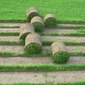 Rollrasen Wünnewil, Rollrasenfarm