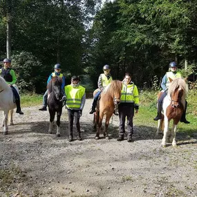 Bild von Leenhof Reitschule - Islandpferde