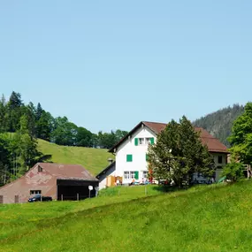 Poo-Alp im Sommer