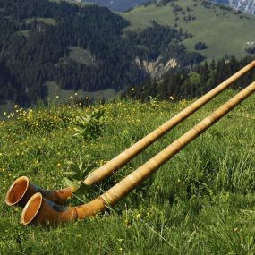 Bild von Hotel Alphorn Gstaad GmbH