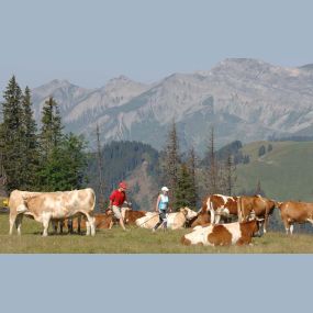 Bild von Hotel Alphorn Gstaad GmbH