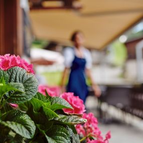 Bild von Hotel Alphorn Gstaad GmbH