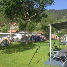 Camping Vermeille Zweisimmen