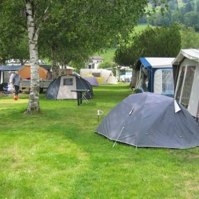 Camping Vermeille Zweisimmen