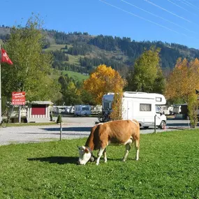 Camping Vermeille Zweisimmen