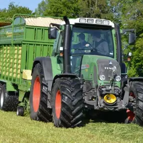 Landwirtschaft auf dem Schenkerhof, Däniken