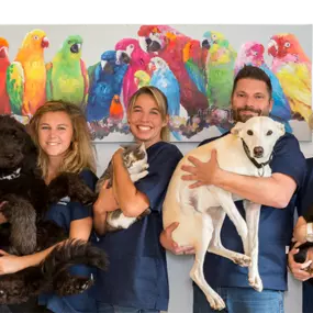 Tierarzt- und Bioresonanzpraxis Mahncke