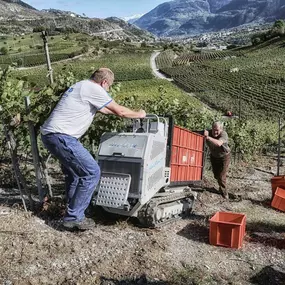 Bild von Tenud Weine GmbH