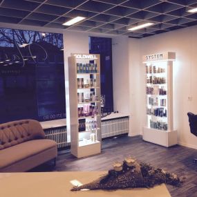 Hairness Coiffure Studio Bern