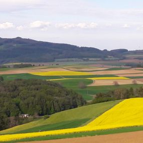 Bild von Restaurant Reiatstube