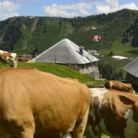 Grubenberghütte