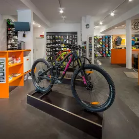 MR. FEELGOOD Velos & E-Bikes