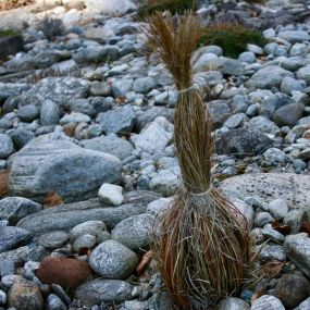 Bild von MK Gartenbau GmbH