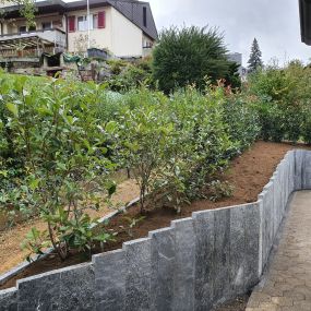 Bild von MK Gartenbau GmbH