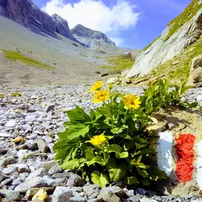 Bild von Wildhornhütte SAC / Cabane du Wildhorn CAS