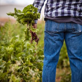 AGRO Treuhand Aargau AG
Treuhand für Landwirtschaft und Gewerbe