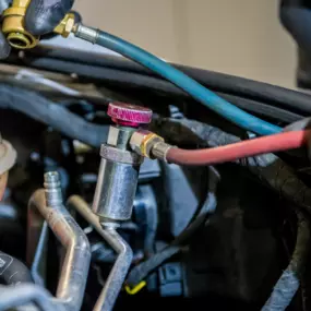 Bild von Pratteln Automobile GmbH