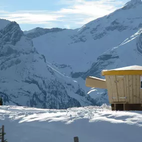 Burri Zimmerei & Chaletbau Lauenen