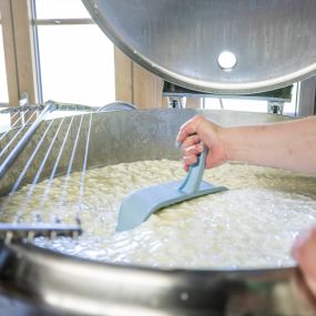 Verarbeiten der Milch in der Alpkäserei Steingletscher