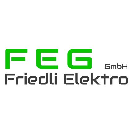 Logotyp från FEG Friedli Elektro GmbH