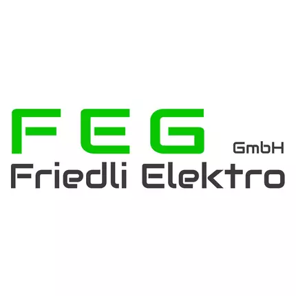 Logo od FEG Friedli Elektro GmbH