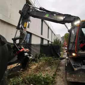 Bagger Rodung Baumstumpen Entfernung
