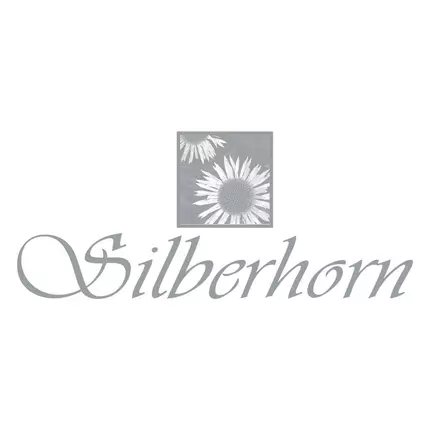 Logo from Hotel Silberhorn