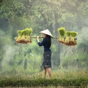 Vietnam Kambodscha Indochina - bestfortravel – Reiseanbieter für Rundreisen, Events und Kreuzfahrten
