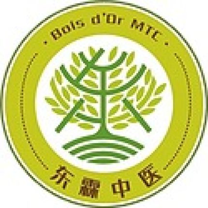 Logo da Bois d’Or MTC Sàrl