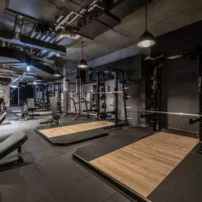 Fitness First Dresden Altstadt - Squat Racks