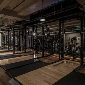 Fitness First Hannover City - Squat Racks