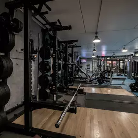 Fitness First Paderborn - Squat Racks