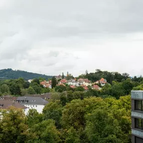 Room View