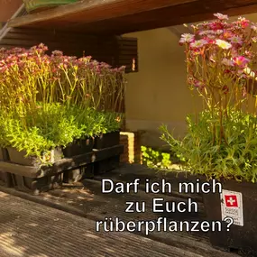 Bild von Bühlmann & Partner Garten GmbH