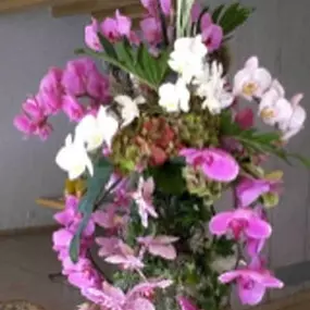 Bild von Blumen Jakob