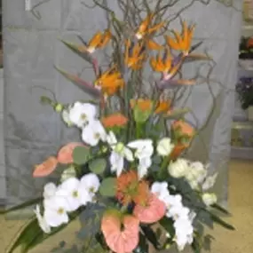 Bild von Blumen Jakob