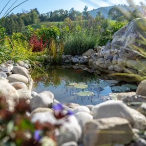 Bild von Widler Gartenbau + Floristik AG