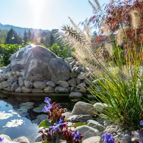 Bild von Widler Gartenbau + Floristik AG