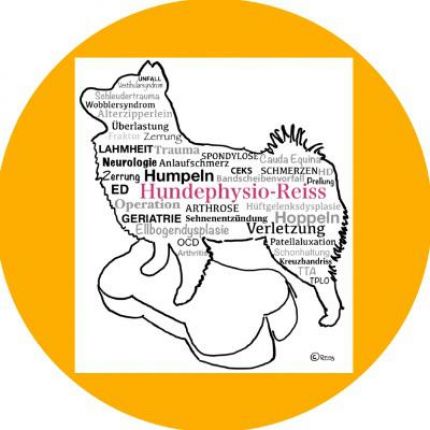 Logo da Hundephysio-Reiss, Ursula Reiss