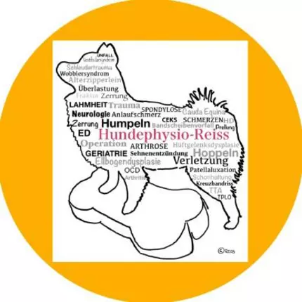 Logo de Hundephysio-Reiss, Ursula Reiss