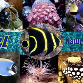 Bild von S&L Naturverlag