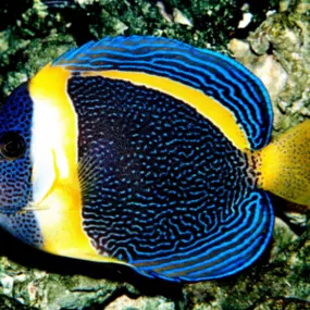 Bild von S&L Naturverlag