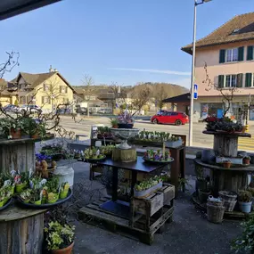 Bild von s'Bluemelädeli Schmid GmbH